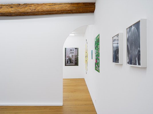 Image 9 of 36