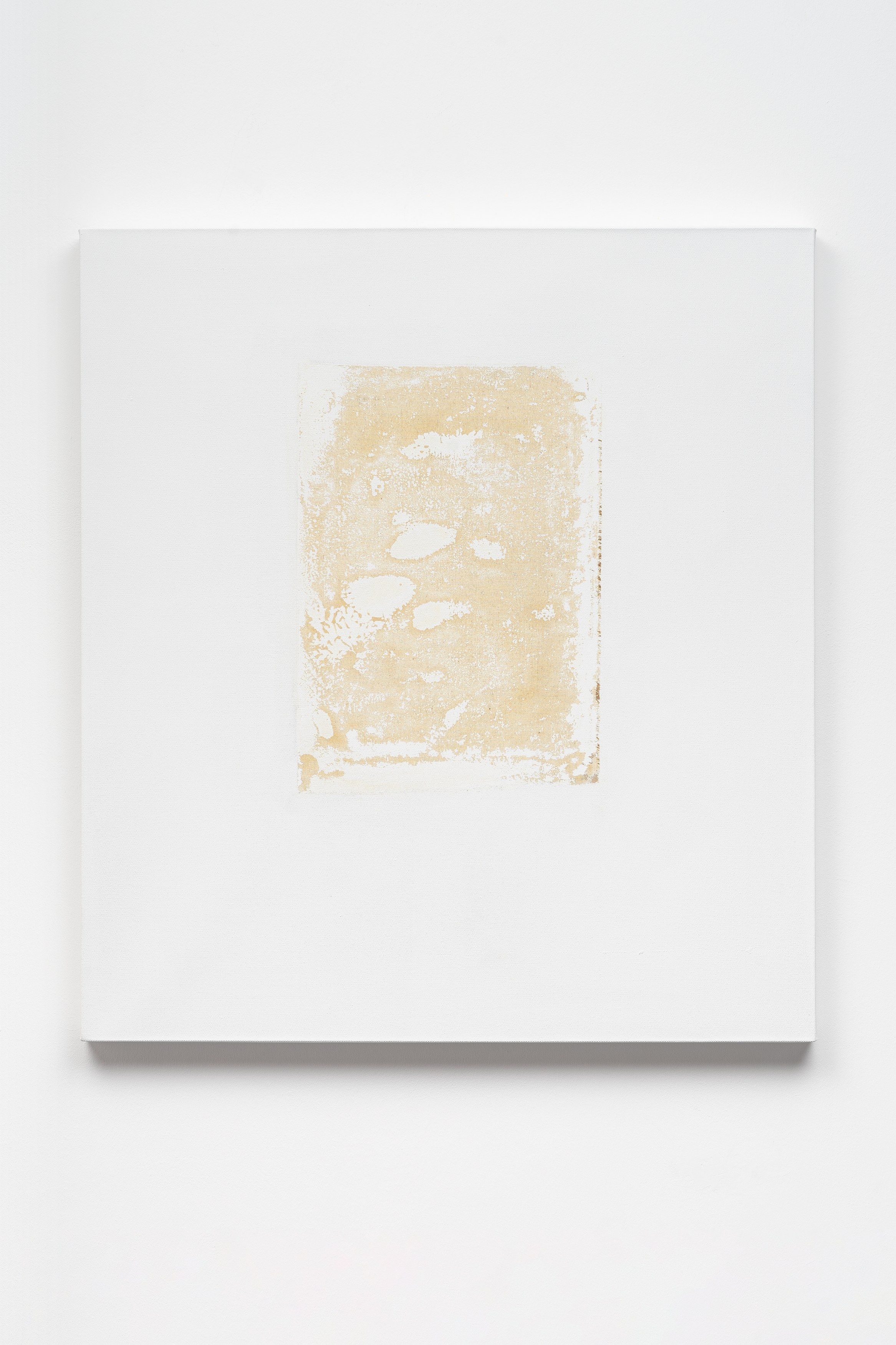 John Matthew Heard, Lisa Holzer, dependent at Mountains, photo 17