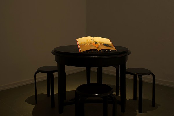 Image 2 of 21