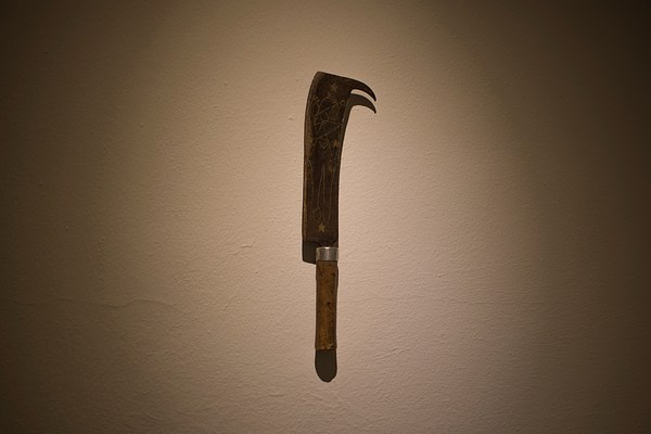 Image 16 of 21