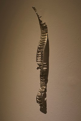 Image 18 of 21