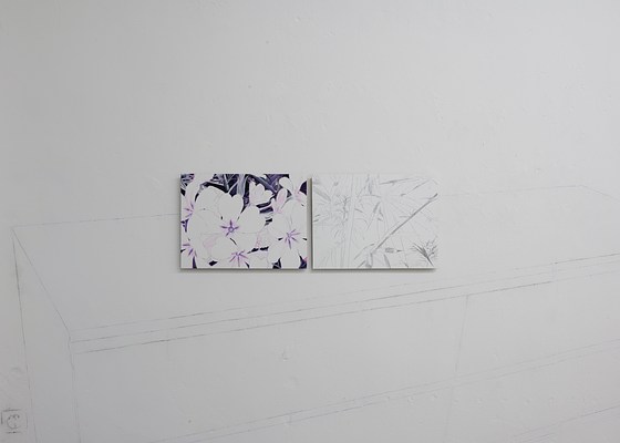 Image 23 of 32