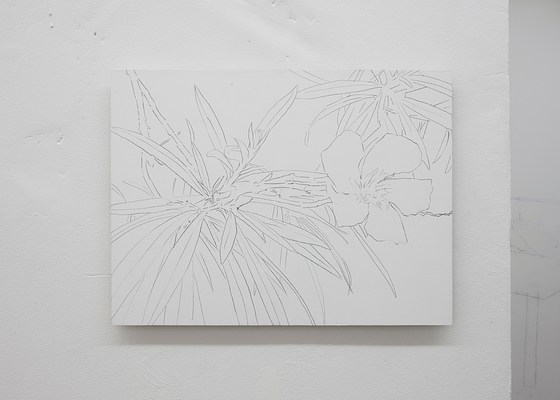 Image 26 of 32