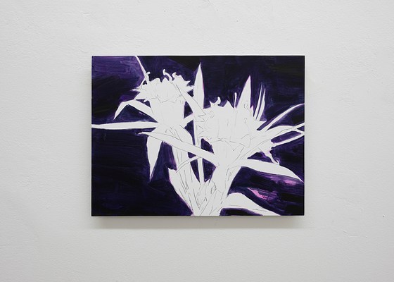 Image 31 of 32