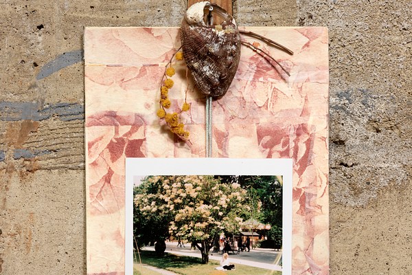 Image 16 of 17