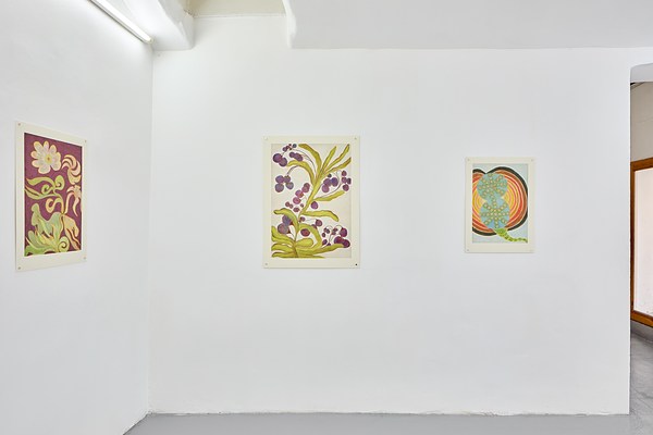Image 2 of 47