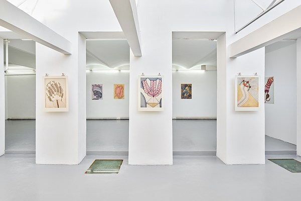 Image 11 of 47
