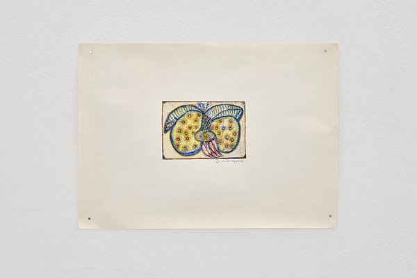 Image 19 of 47