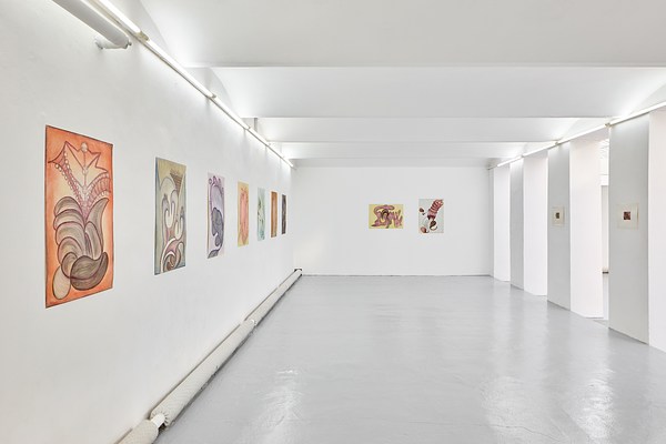 Image 20 of 47