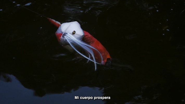 Image 14 of 32