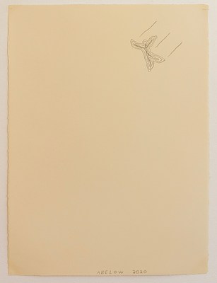 Image 12 of 20