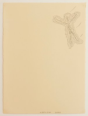 Image 14 of 20