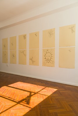 Image 2 of 20