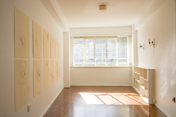 Image 4 of 20