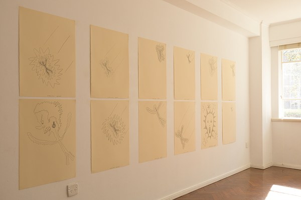 Image 5 of 20