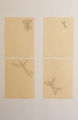 Image 7 of 20
