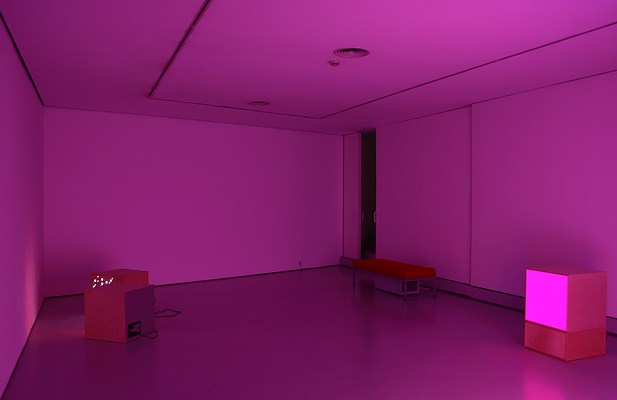 Image 7 of 14