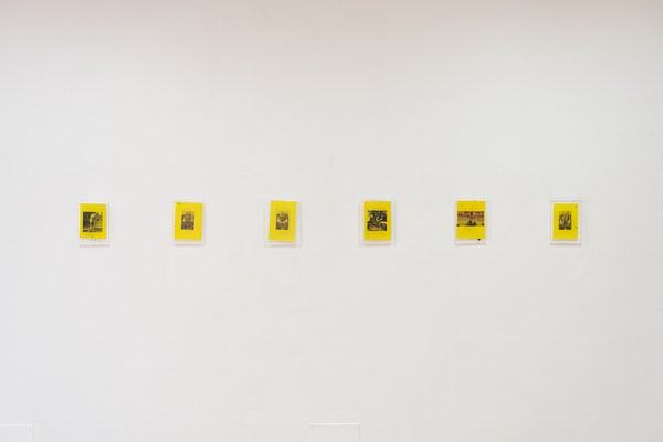Image 12 of 23