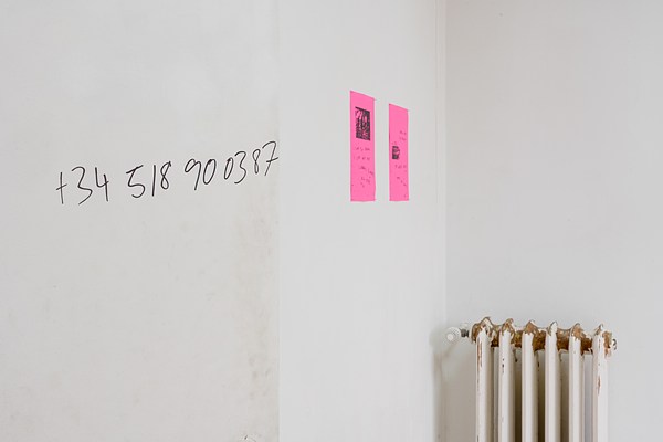 Image 17 of 23