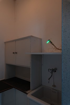 Image 9 of 27