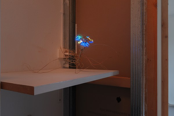 Image 10 of 27