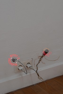 Image 14 of 27