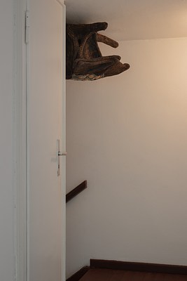 Image 22 of 27