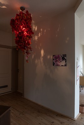 Image 1 of 20