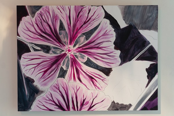 Image 4 of 20