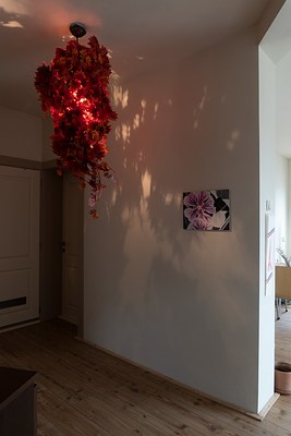 Image 2 of 20