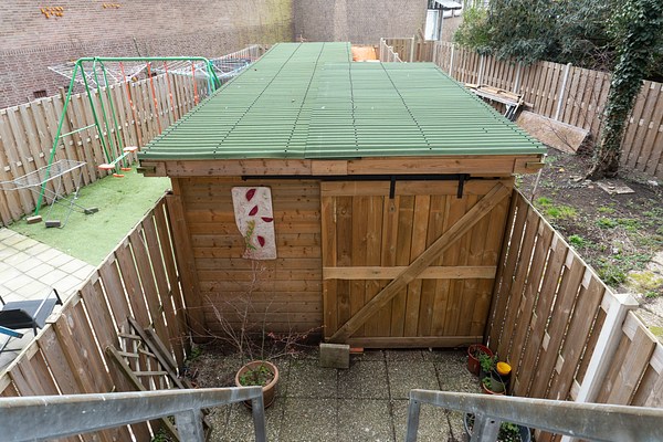 Image 5 of 20