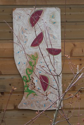 Image 7 of 20