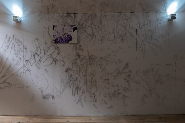 Image 10 of 20