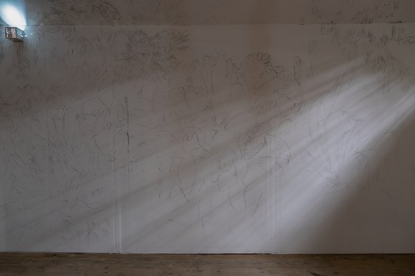 Image 11 of 20