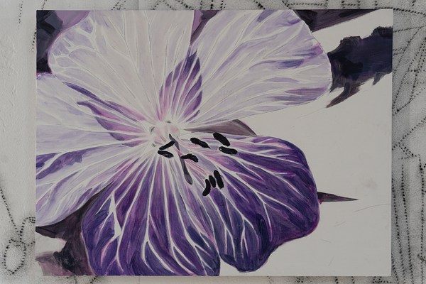 Image 12 of 20