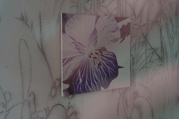 Image 19 of 20