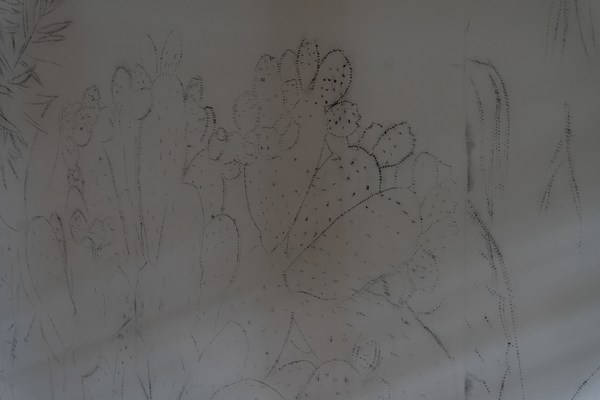 Image 20 of 20