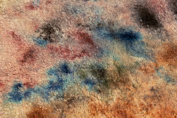 Image 9 of 21