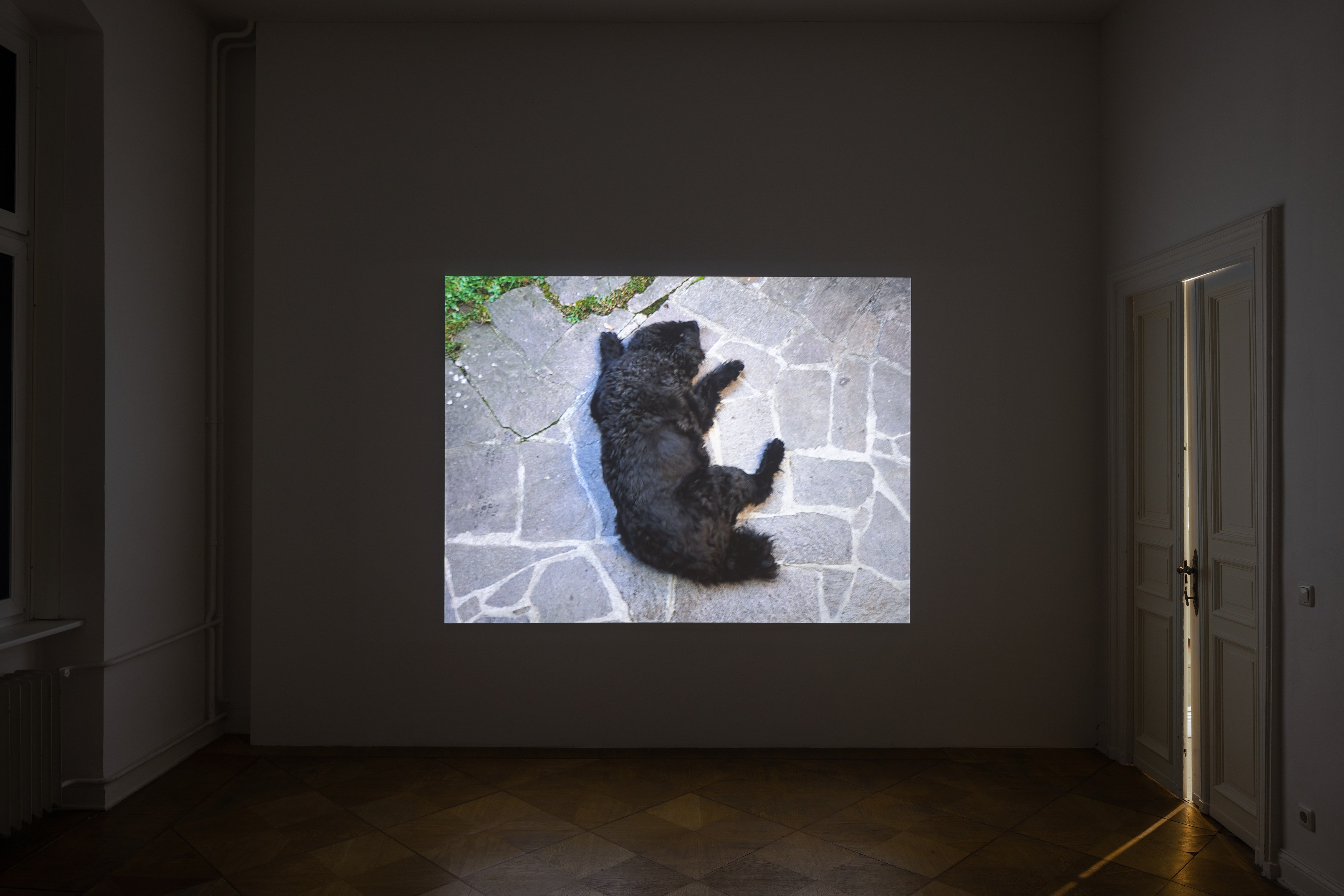Nina Könnemann, Old Dogs at Lars Friedrich, photo 4