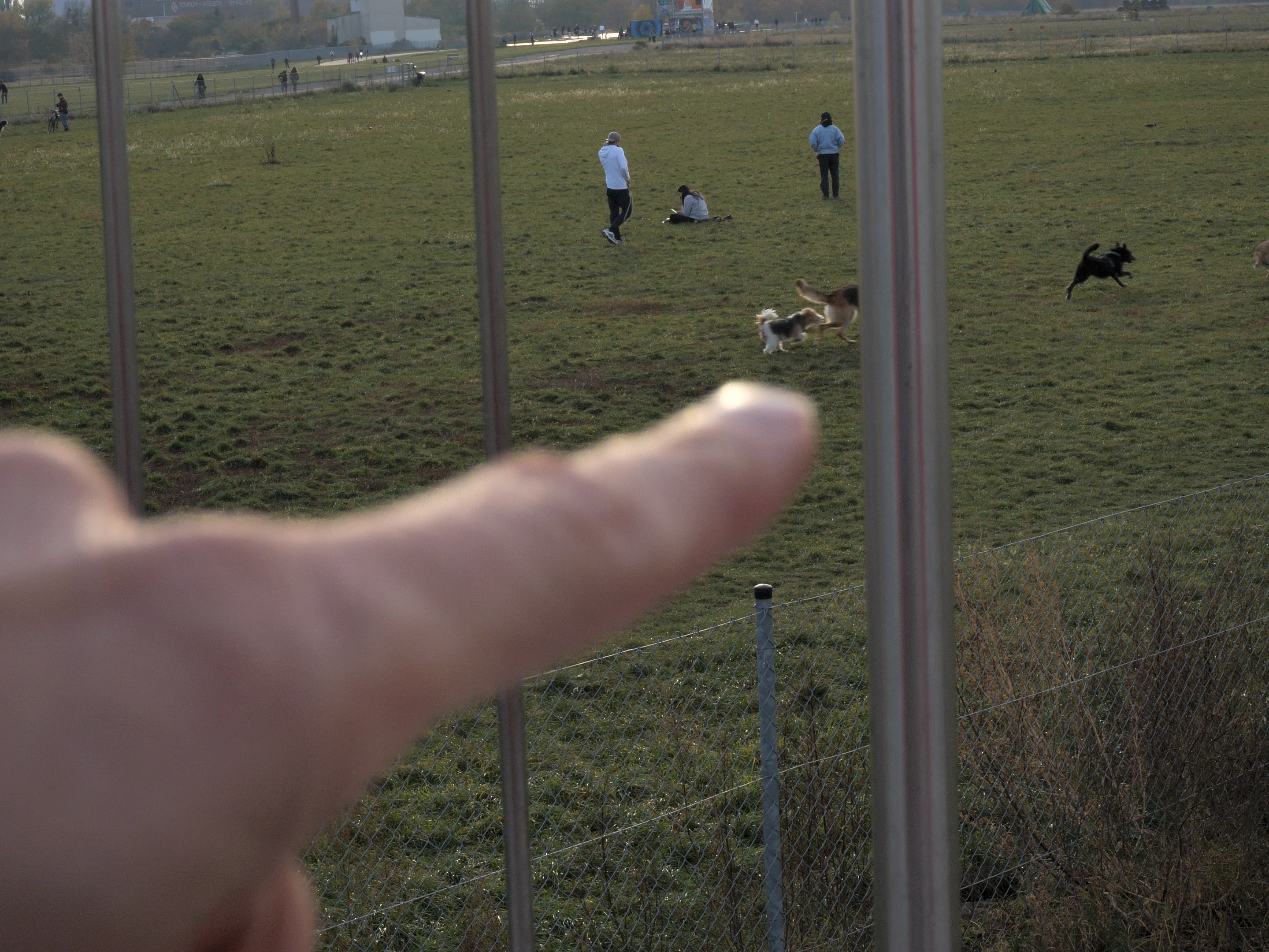 Nina Könnemann, Old Dogs at Lars Friedrich, photo 7