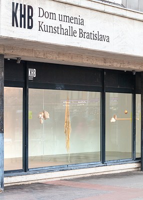 Image 2 of 19
