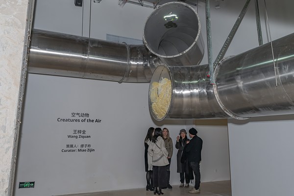 Image 12 of 20
