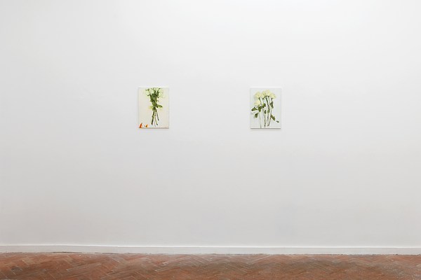 Image 7 of 15