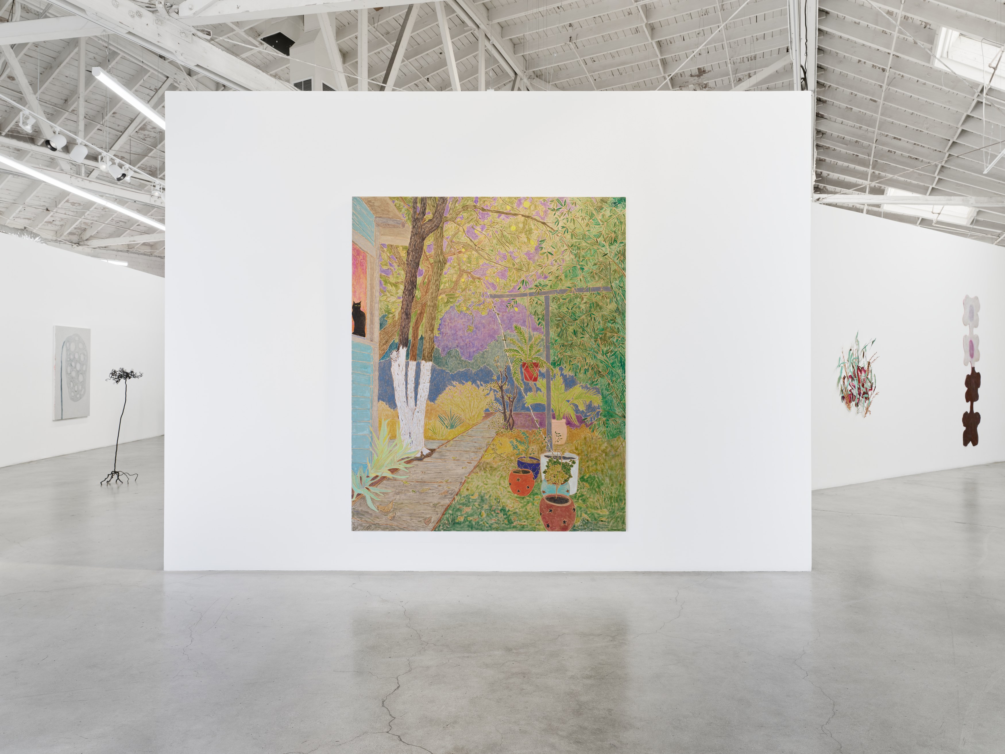 Shrubs, Shrubs at Night Gallery, photo 13