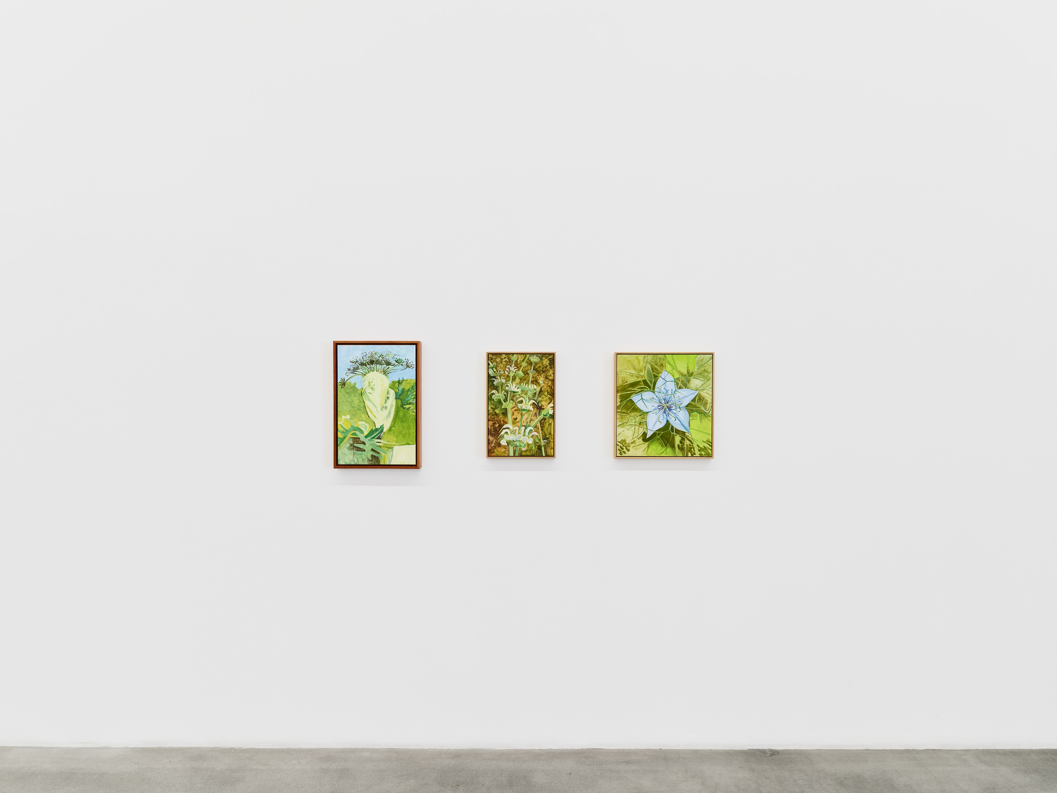 Shrubs, Shrubs at Night Gallery, photo 16