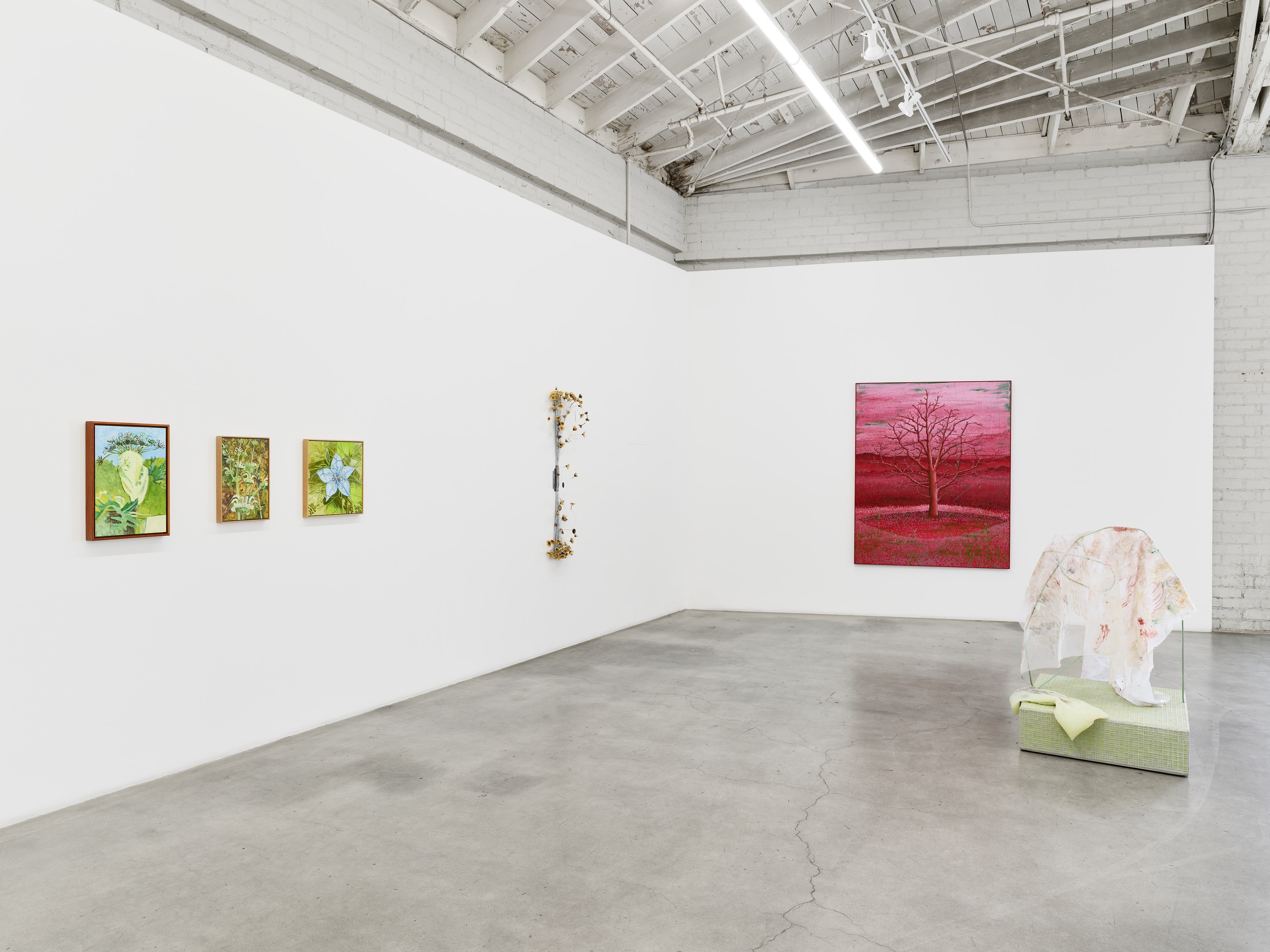 Shrubs, Shrubs at Night Gallery, photo 19