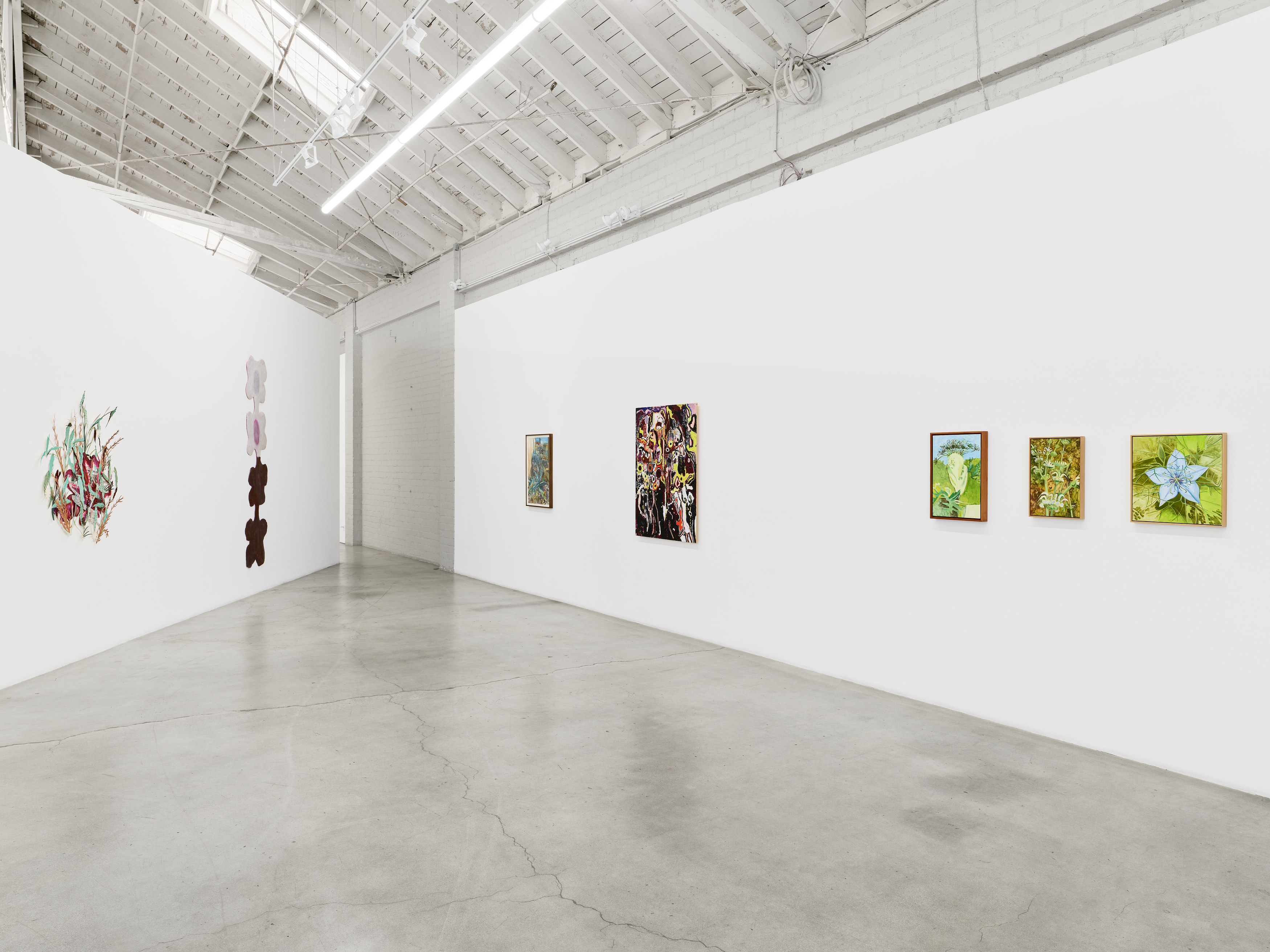 Shrubs, Shrubs at Night Gallery, photo 21