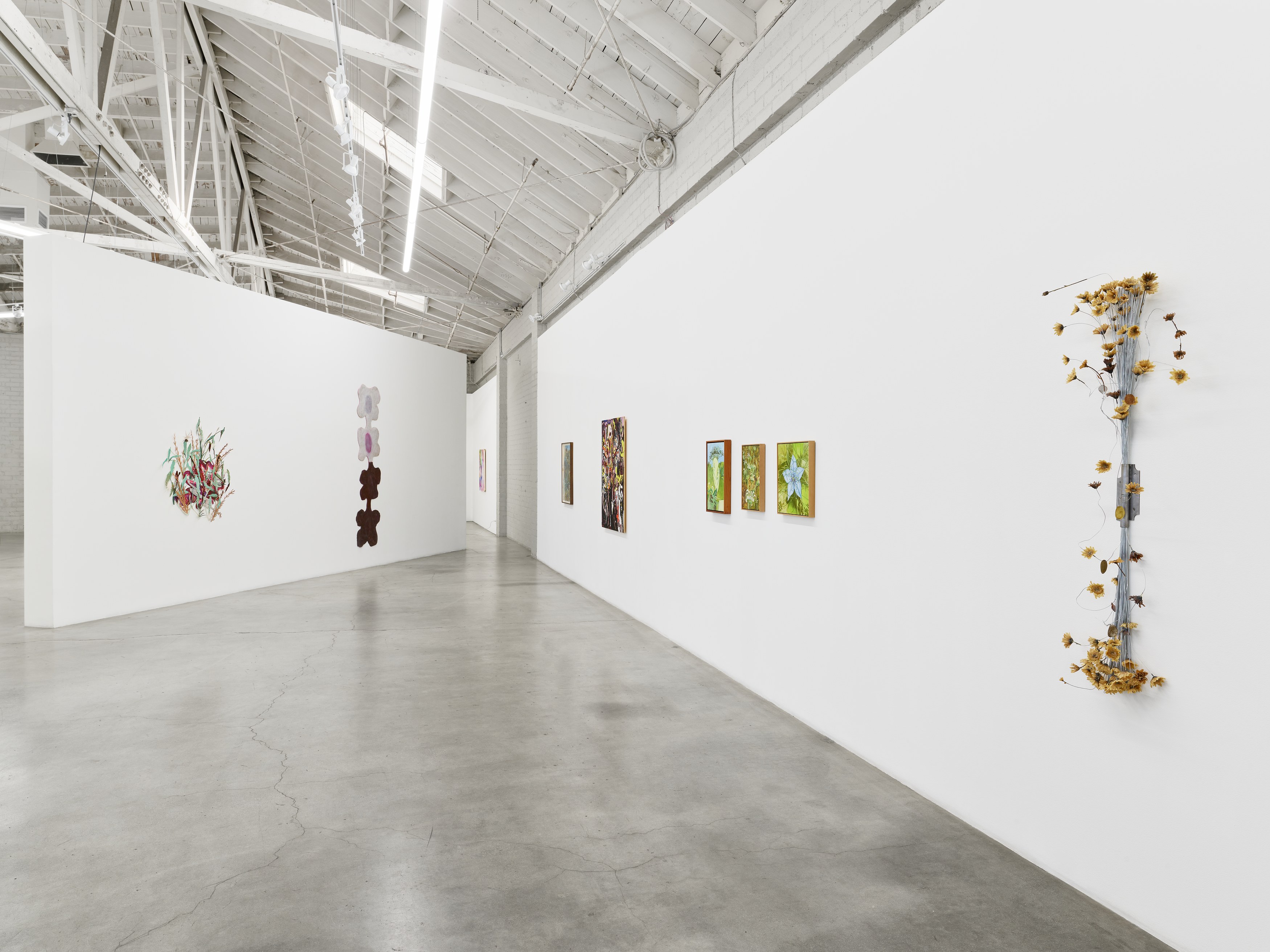 Shrubs, Shrubs at Night Gallery, photo 20