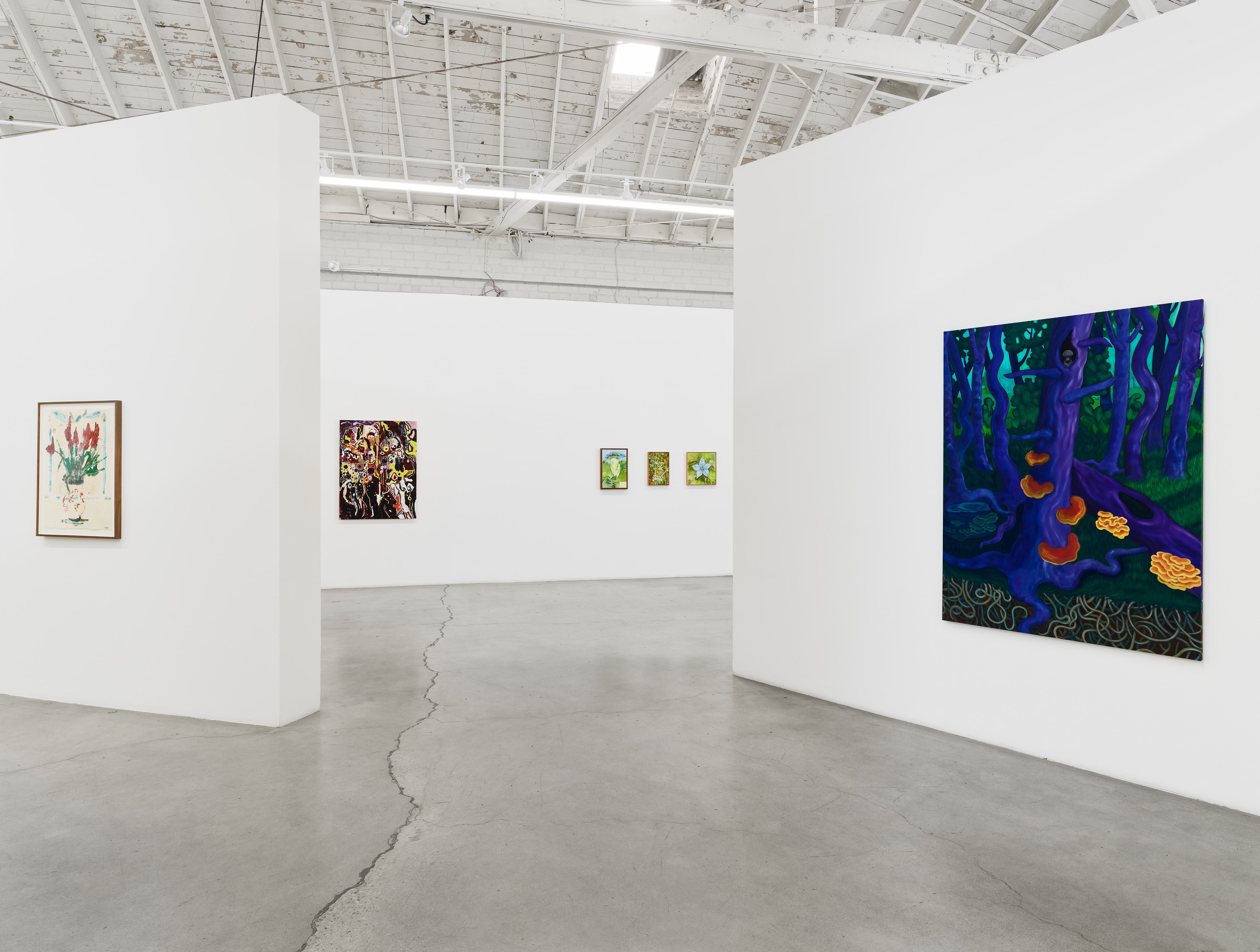 Shrubs, Shrubs at Night Gallery, photo 27