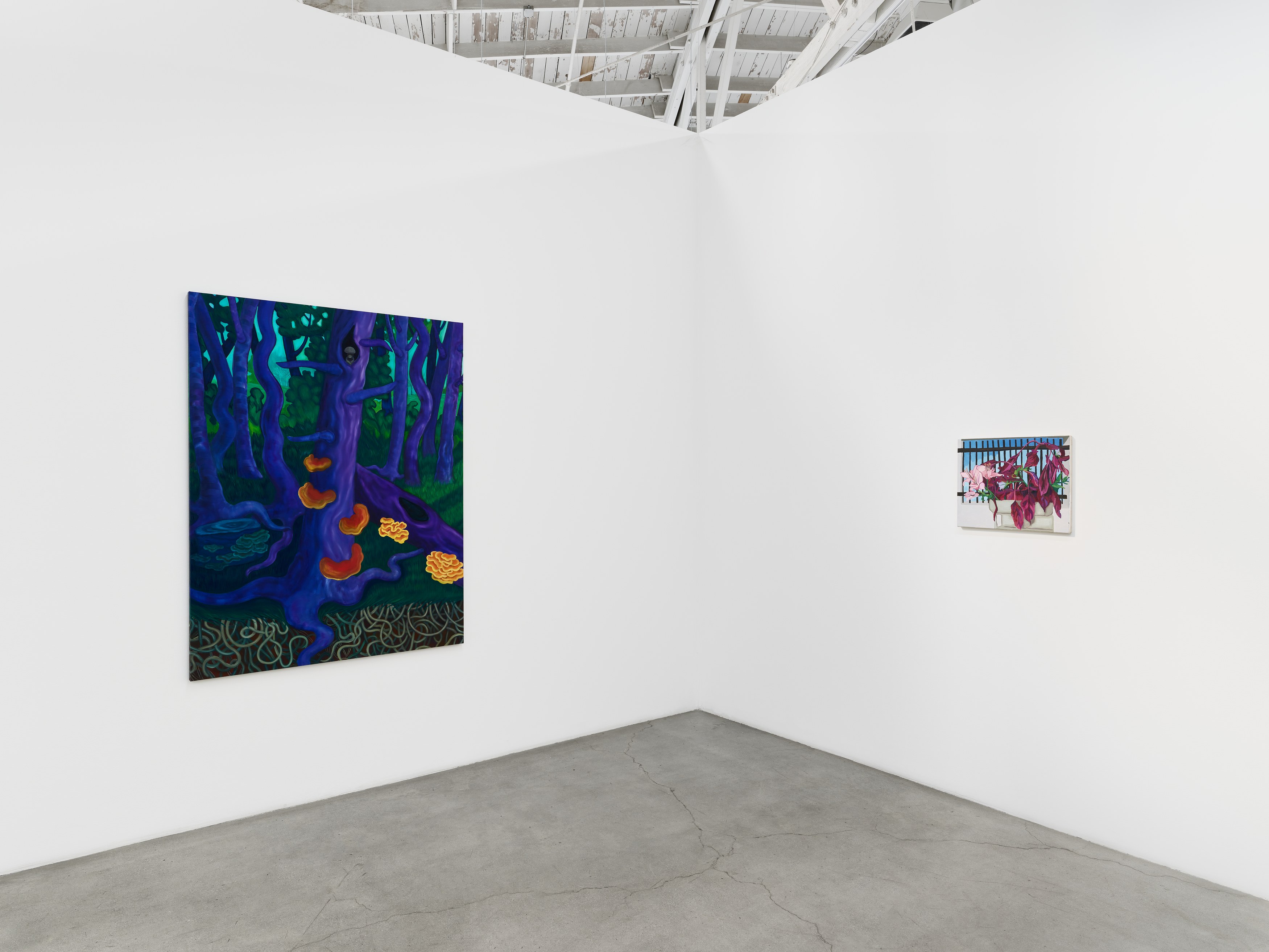 Shrubs, Shrubs at Night Gallery, photo 40